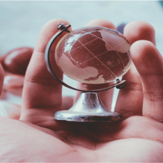 ¿En quién confía el mundo? Resultados del Monitor Global de Confianza de Ipsos