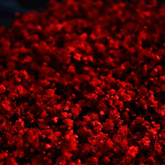 Desafíos en la gestión del riesgo reputacional Desafíos en la gestión del riesgo reputacional