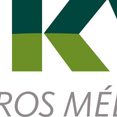 CASO RESPONSABILIDAD EMPRESARIAL