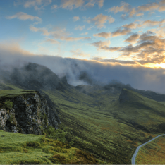 Winning the Race to Net Zero: The CEO Guide to Climate Advantage