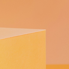 Marca corporativa y confianza del consumidor: del rol funcional al rol personal