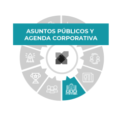 TODO SOBRE EL PEER TO PEER Asuntos Públicos y Agenda Corporativa