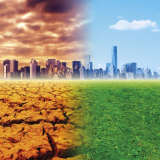 ¿Cómo percibe la sociedad el cambio climático?