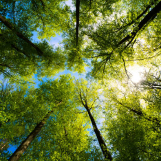 Conclusiones clave de la COP28