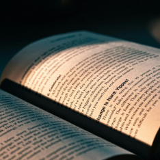 Día del Libro: 12 lecturas imprescindibles para profesionales que lideran el futuro de las organizaciones