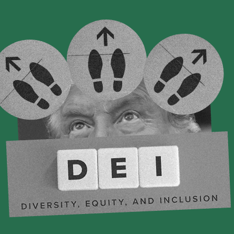 Políticas DEI en tiempos de polarización: tres caminos estratégicos